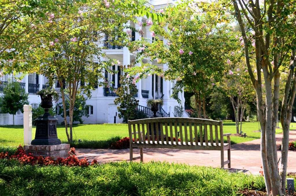Nottoway Plantation And Resort White Castle Экстерьер фото